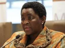 Bathabile Dlamini Political Career